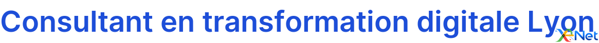 Consultant en transformation digitale Lyon
